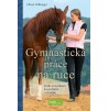 Gymnastická práce na ruce - Oliver Hilberger