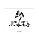 Dárkové balení 2 SOFT sada produktů Franklin (cvičení na zemi / jezdec), RŮZNÉ MOTIVY + DÁREK Dárkové balení 2 SOFT sada produktů Franklin (cvičení na zemi / jezdec), RŮZNÉ MOTIVY + DÁREK