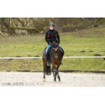 Franklin Universal Mini Ball Set (universální malé míčky červené)