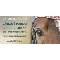 Dárkový poukaz ELEKTRONICKÝ v hodnotě 500 Kč / DVA DRUHY MOTIVŮ