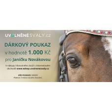 Dárkový poukaz ELEKTRONICKÝ v hodnotě 1.000 Kč / DVA DRUHY MOTIVŮ
