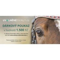 Dárkový poukaz v hodnotě 1.500 Kč / DVA DRUHY MOTIVŮ